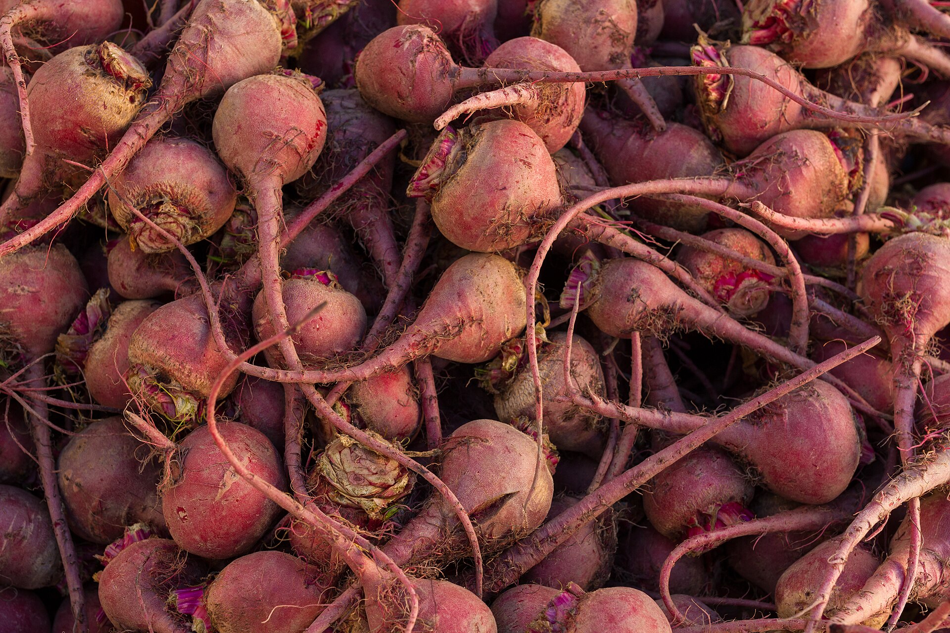Red beets